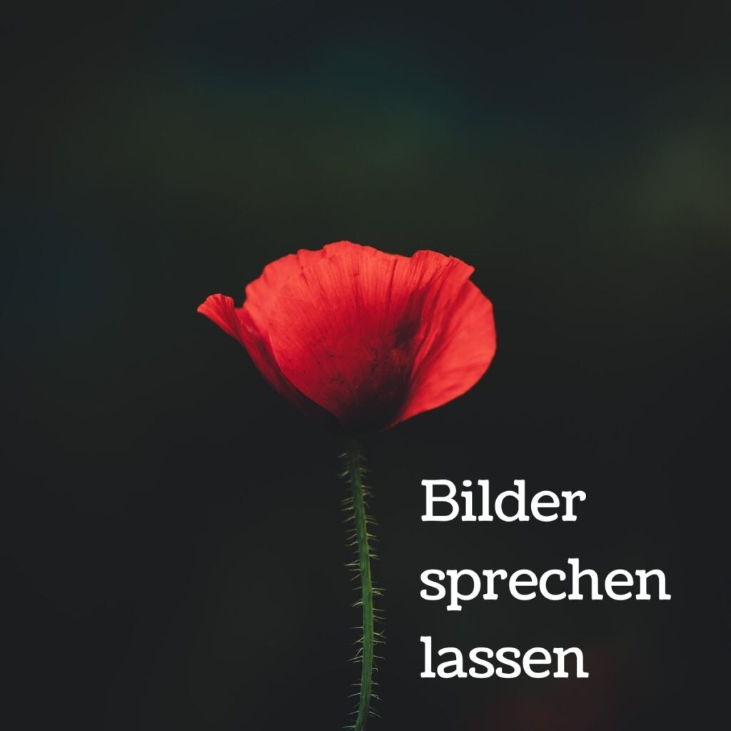 Bilder als Instrument der Kommunikation