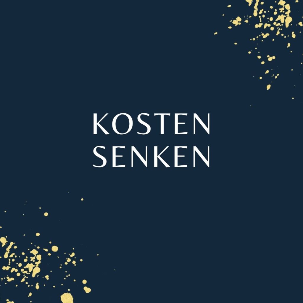 Kosten senken